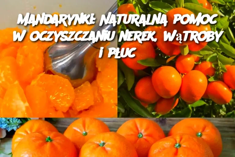 Mandarynki: Naturalna pomoc w oczyszczaniu nerek, wątroby i płuc