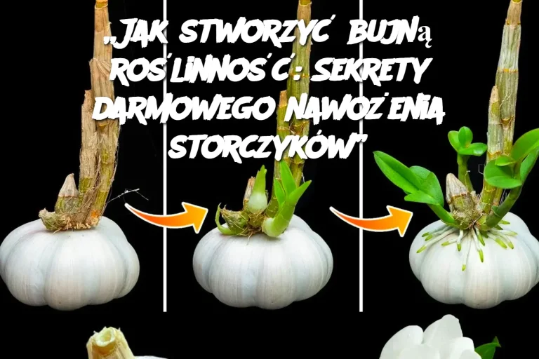 Jak stworzyć bujną roślinność: Sekrety darmowego nawożenia storczyków