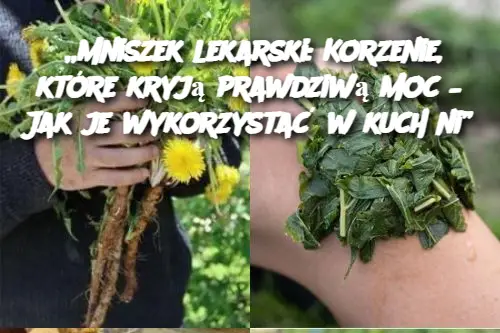 „Mniszek lekarski: Korzenie, które kryją prawdziwą moc – Jak je wykorzystać w kuchni”