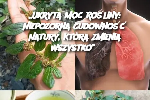 „Ukryta Moc Rośliny: Niepozorna Cudowność Natury, Która Zmienia Wszystko”