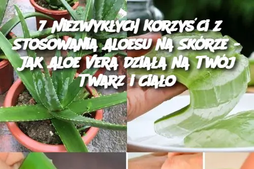 7 Niezwykłych Korzyści z Stosowania Aloesu na Skórze – Jak Aloe Vera Działa na Twój Twarz i Ciało