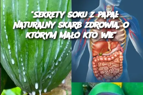 “Sekrety soku z papai: Naturalny skarb zdrowia, o którym mało kto wie”