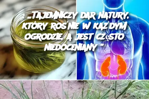 : „Tajemniczy dar natury, który rośnie w każdym ogrodzie, a jest często niedoceniany”