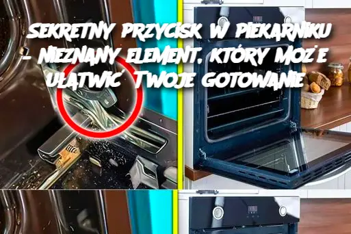 Sekretny przycisk w piekarniku – nieznany element, który może ułatwić Twoje gotowanie