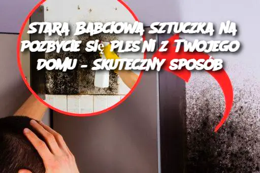 Stara Babciowa Sztuczka na Pozbycie się Pleśni z Twojego Domu – Skuteczny sposób