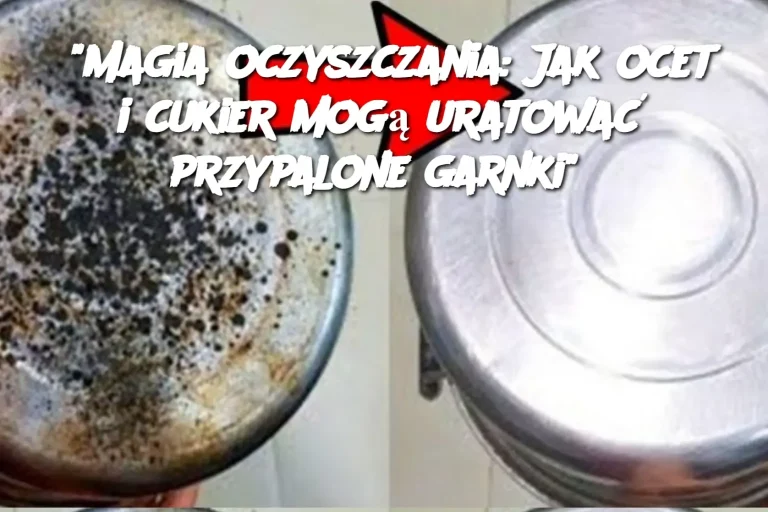 “Magia oczyszczania: Jak ocet i cukier mogą uratować przypalone garnki”