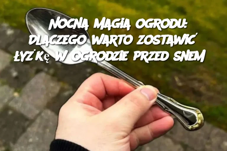 Nocna magia ogrodu: Dlaczego warto zostawić łyżkę w ogrodzie przed snem?