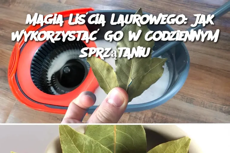 Magia Liścia Laurowego: Jak Wykorzystać Go w Codziennym Sprzątaniu