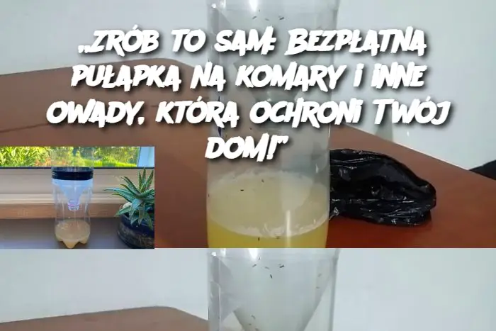 „Zrób to sam: Bezpłatna pułapka na komary i inne owady, która ochroni Twój dom!”