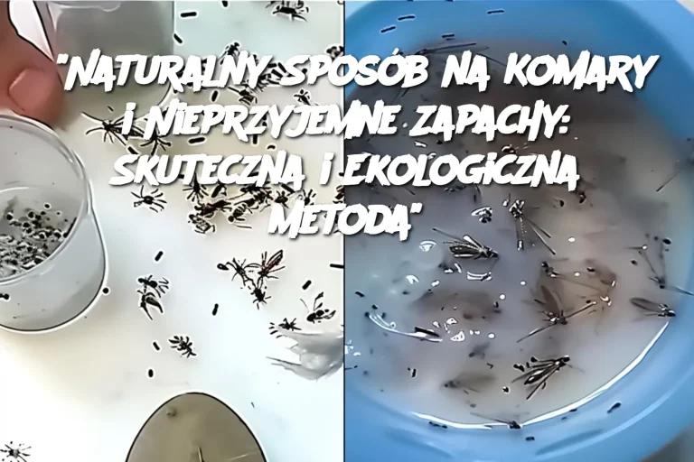 “Naturalny Sposób na Komary i Nieprzyjemne Zapachy: Skuteczna i Ekologiczna Metoda”