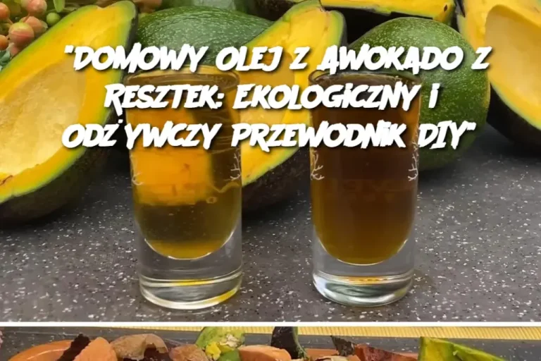 “Domowy Olej z Awokado z Resztek: Ekologiczny i Odżywczy Przewodnik DIY”