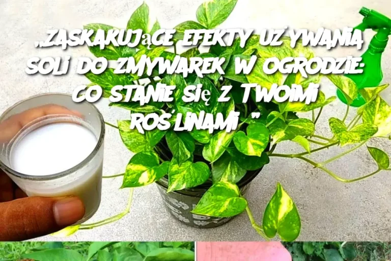 „Zaskakujące efekty używania soli do zmywarek w ogrodzie: Co stanie się z Twoimi roślinami?”