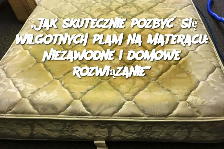 Domowe Ciasto na Pizzę: Przepis na Idealne Ciasto na Każdą Okazję