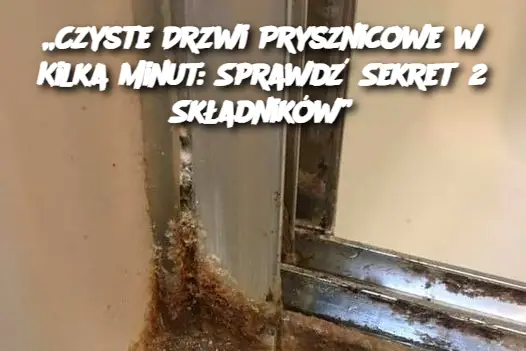 „Czyste Drzwi Prysznicowe w Kilka Minut: Sprawdź Sekret 2 Składników”