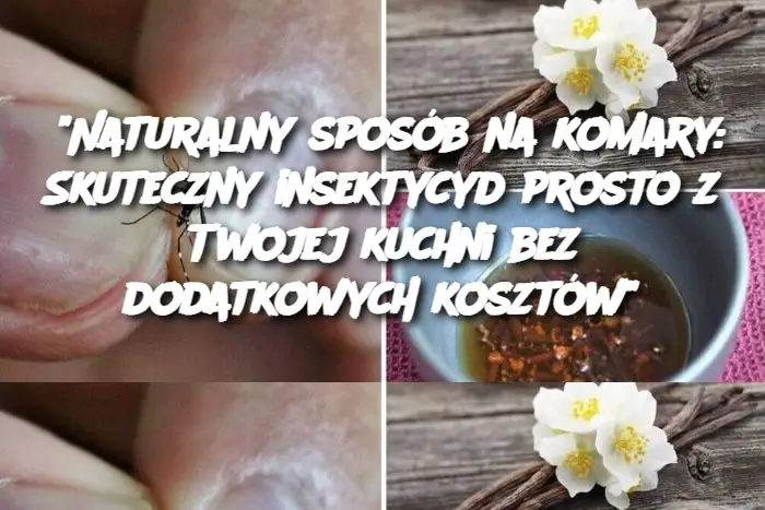 “Naturalny sposób na komary: Skuteczny insektycyd prosto z Twojej kuchni bez dodatkowych kosztów”