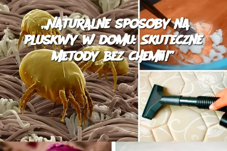 „Naturalne sposoby na pluskwy w domu: Skuteczne metody bez chemii!”