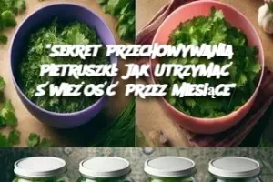 “Sekret Przechowywania Pietruszki: Jak Utrzymać Świeżość Przez Miesiące”