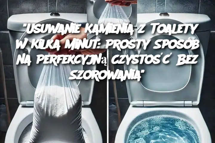 “Usuwanie Kamienia z Toalety w Kilka Minut: Prosty Sposób na Perfekcyjną Czystość Bez Szorowania”