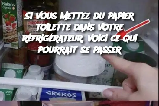 Si vous mettez du papier toilette dans votre réfrigérateur, voici ce qui pourrait se passer