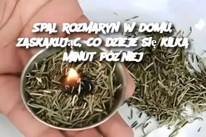 Spal rozmaryn w domu, zaskakując, co dzieje się kilka minut później