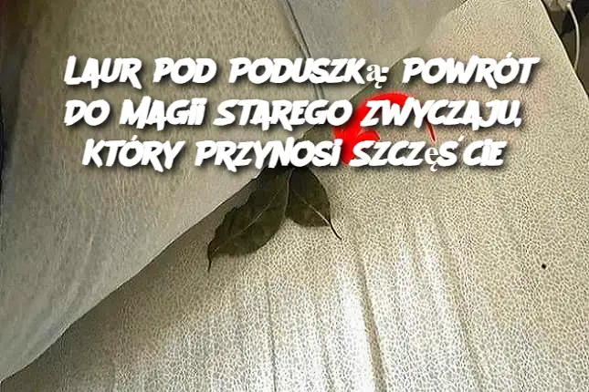 Laur pod Poduszką: Powrót Do Magii Starego Zwyczaju, Który Przynosi Szczęście