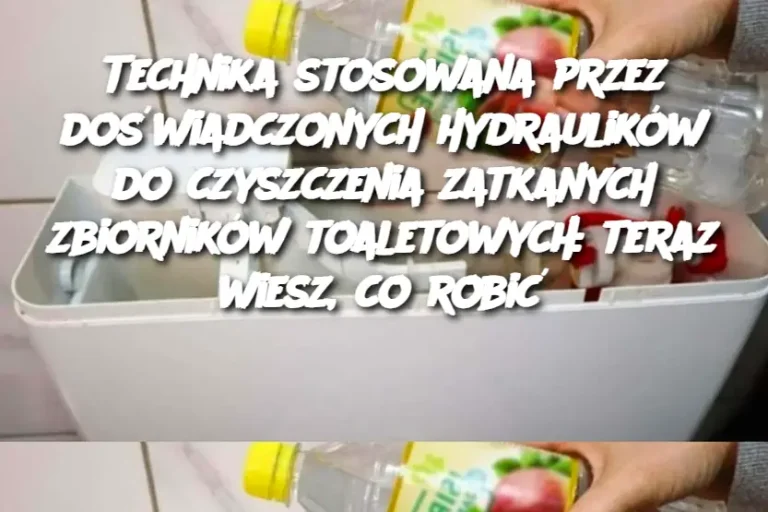 Technika stosowana przez doświadczonych hydraulików do czyszczenia zatkanych zbiorników toaletowych: teraz wiesz, co robić