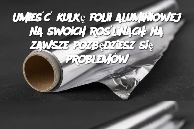 Umieść kulkę folii aluminiowej na swoich roślinach: na zawsze pozbędziesz się 6 problemów