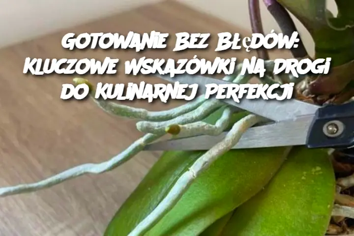 Gotowanie Bez Błędów: Kluczowe Wskazówki na Drogi do Kulinarnej Perfekcji