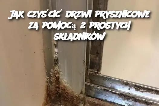 Jak czyścić drzwi prysznicowe za pomocą 2 prostych składników