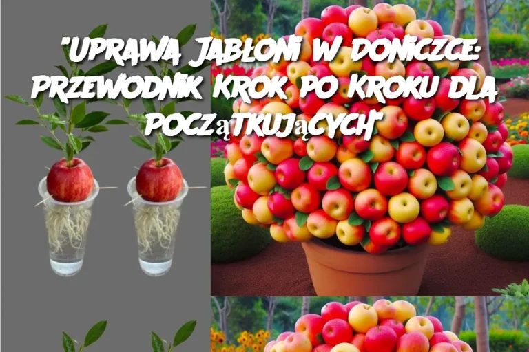 “Uprawa Jabłoni w Doniczce: Przewodnik Krok po Kroku dla Początkujących”