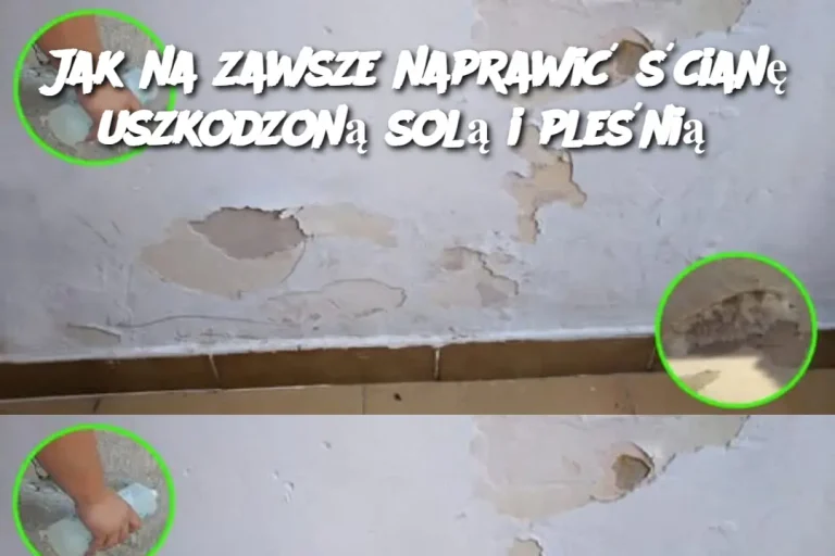 Jak na zawsze naprawić ścianę uszkodzoną solą i pleśnią?