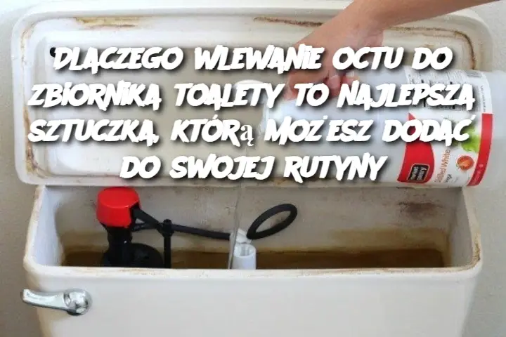 Dlaczego wlewanie octu do zbiornika toalety to najlepsza sztuczka, którą możesz dodać do swojej rutyny