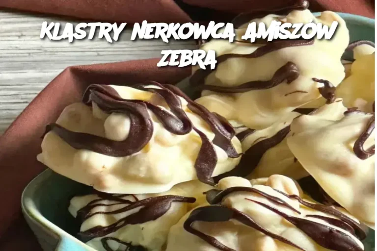 Klastry nerkowca Amiszów Zebra