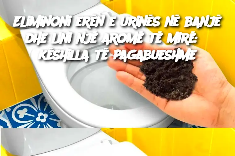 Eliminoni erën e urinës në banjë dhe lini një aromë të mirë: 6 këshilla të pagabueshme