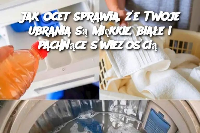 Jak ocet sprawia, że Twoje ubrania są miękkie, białe i pachnące świeżością