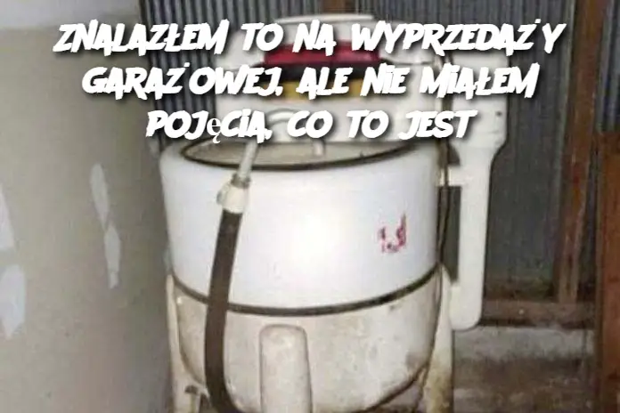 Znalazłem to na wyprzedaży garażowej, ale nie miałem pojęcia, co to jest