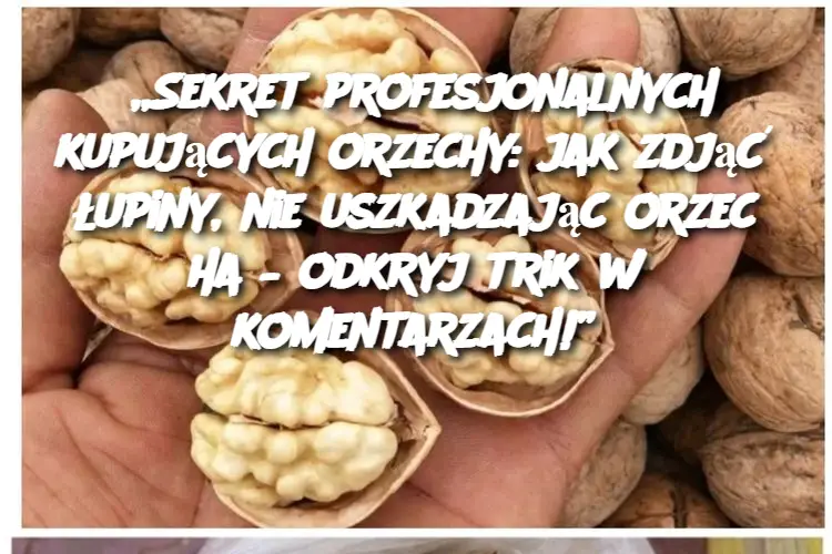 „Sekret profesjonalnych kupujących orzechy: jak zdjąć łupiny, nie uszkadzając orzecha – odkryj trik w komentarzach!”