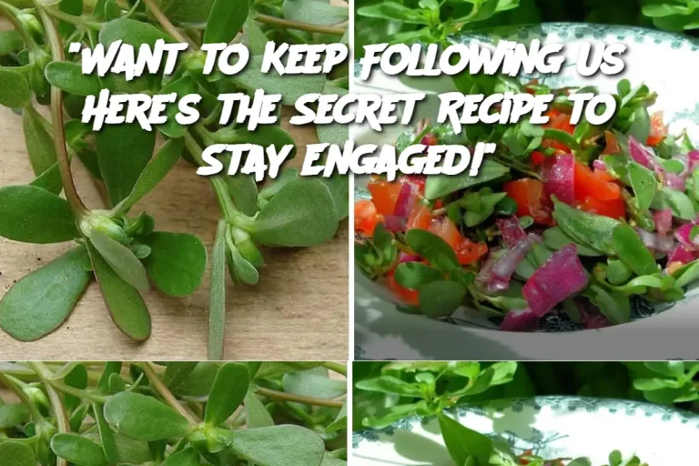 “Want to Keep Following Us? Here’s the Secret Recipe to Stay Engaged!”