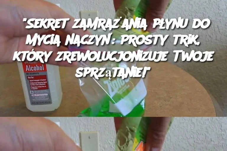 “Sekret zamrażania płynu do mycia naczyń: Prosty trik, który zrewolucjonizuje Twoje sprzątanie!”