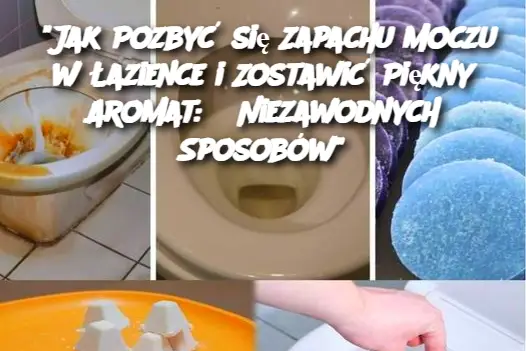 “Jak Pozbyć się Zapachu Moczu w Łazience i Zostawić Piękny Aromat: 6 Niezawodnych Sposobów”