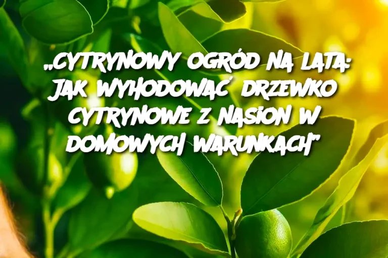 „Cytrynowy ogród na lata: Jak wyhodować drzewko cytrynowe z nasion w domowych warunkach”