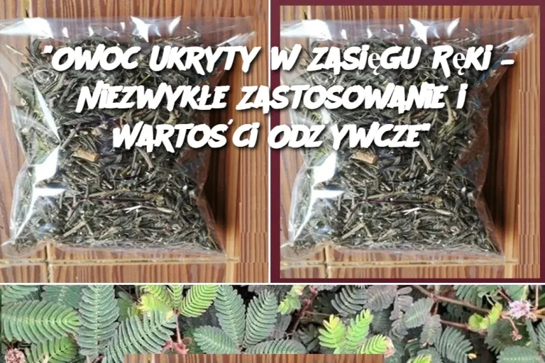 “Owoc Ukryty w Zasięgu Ręki – Niezwykłe Zastosowanie i Wartości Odżywcze”