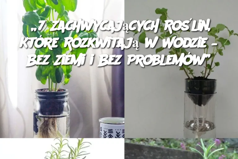 „7 Zachwycających Roślin, Które Rozkwitają w Wodzie – Bez Ziemi i Bez Problemów”