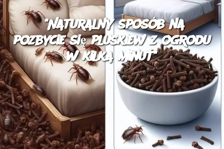 “Naturalny sposób na pozbycie się pluskiew z ogrodu w kilka minut”