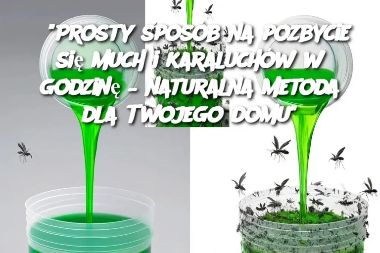 “Prosty sposób na pozbycie się much i karaluchów w godzinę – naturalna metoda dla Twojego domu”