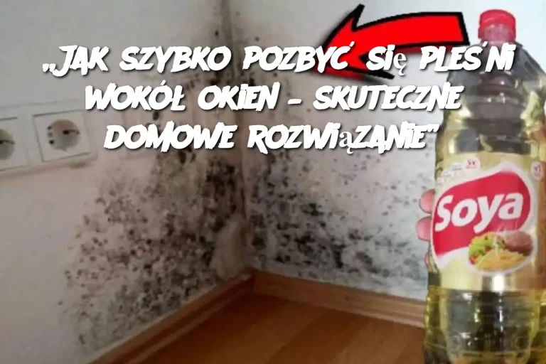 „Jak szybko pozbyć się pleśni wokół okien – skuteczne domowe rozwiązanie”