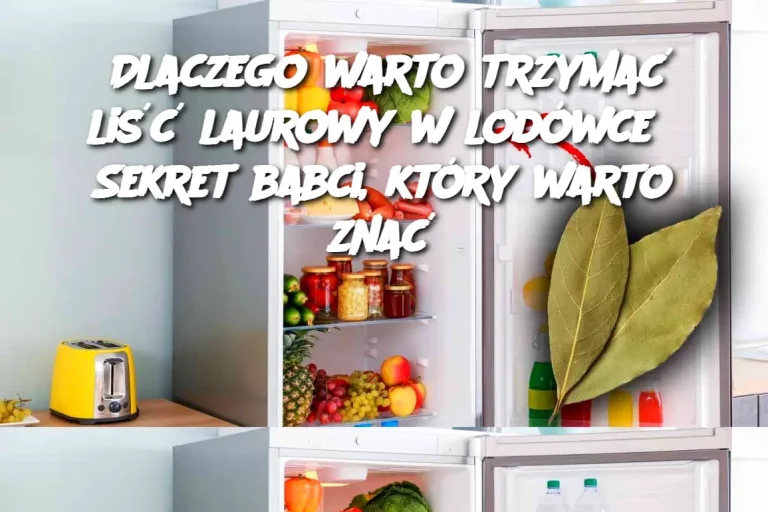 Dlaczego warto trzymać liść laurowy w lodówce? Sekret babci, który warto znać