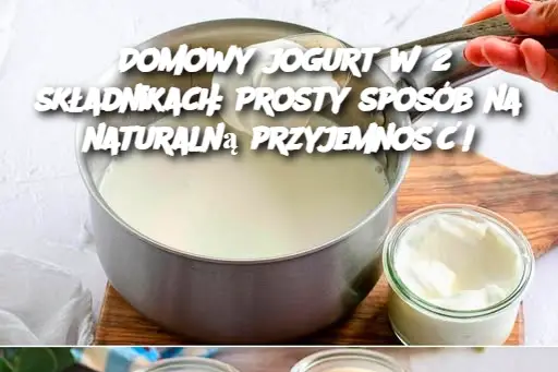 Domowy jogurt w 2 składnikach: Prosty sposób na naturalną przyjemność!