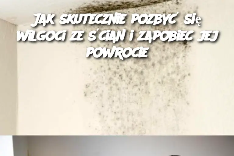 Jak skutecznie pozbyć się wilgoci ze ścian i zapobiec jej powrocie