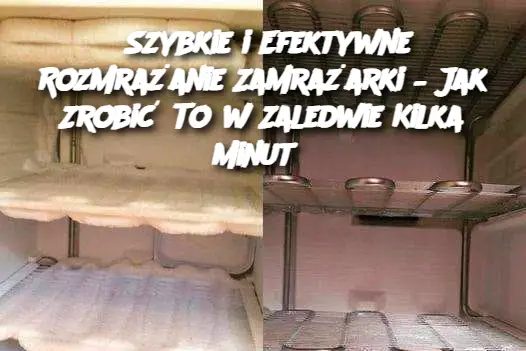 Szybkie i Efektywne Rozmrażanie Zamrażarki – Jak Zrobić To w Zaledwie Kilka Minut?